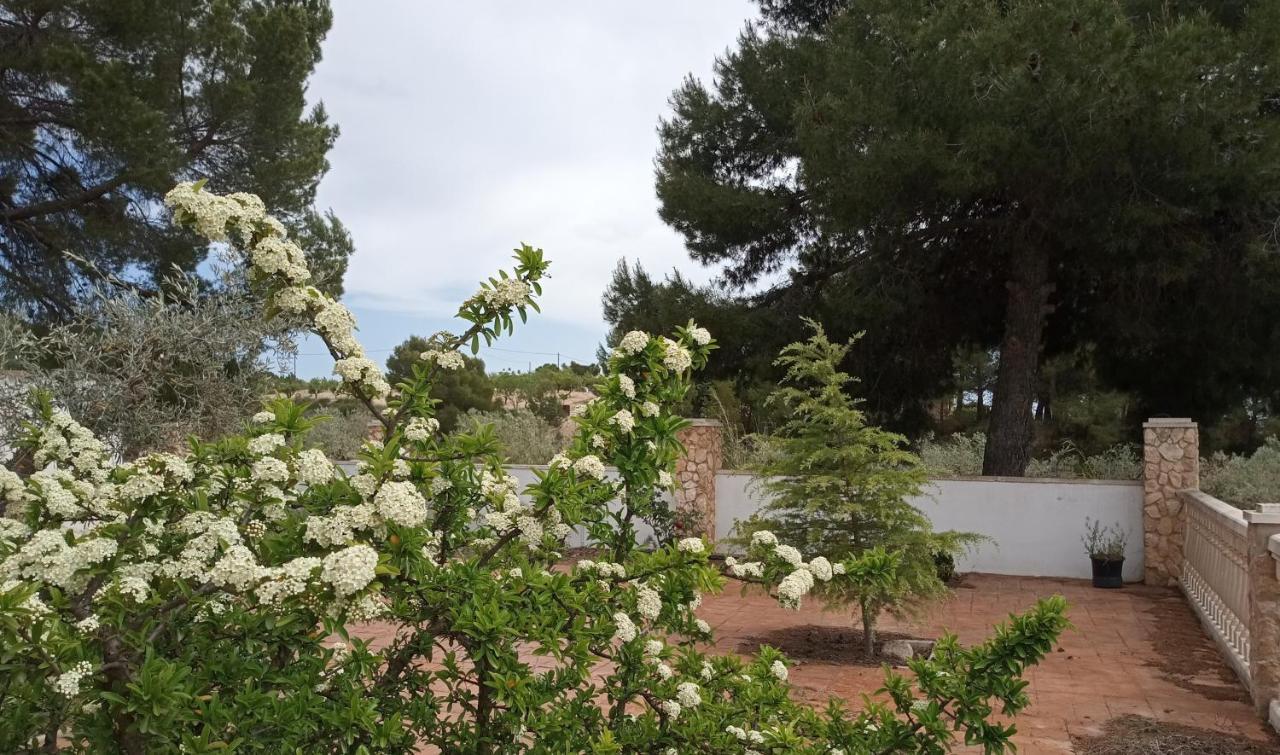 Casa De Pascual Βίλα Yecla Εξωτερικό φωτογραφία